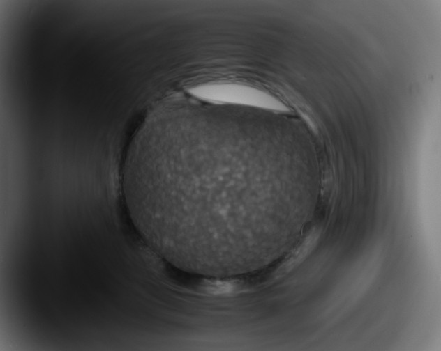 X0000087540469200705181052