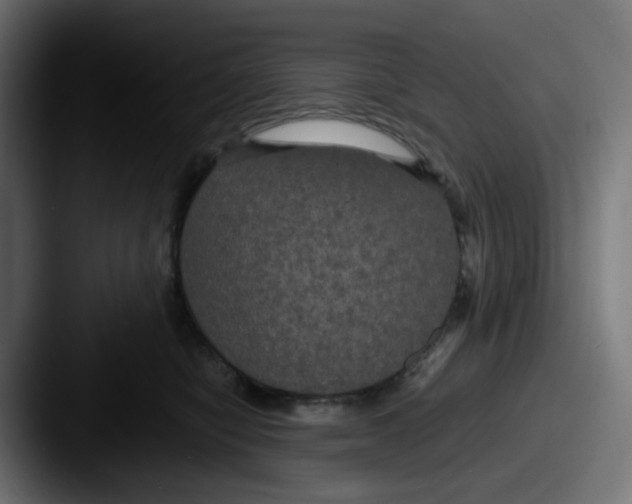 X0000087540470200705181052