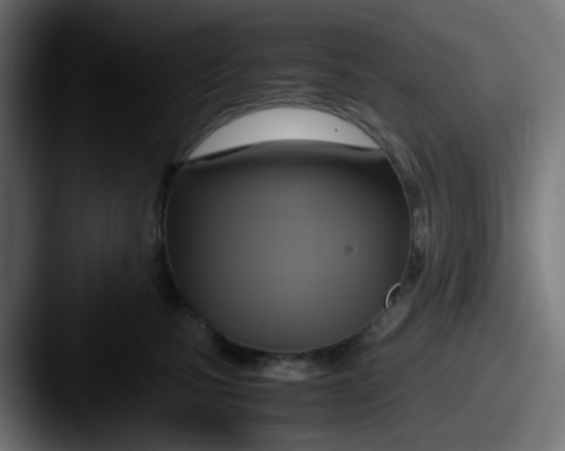 X0000087540471200705181052