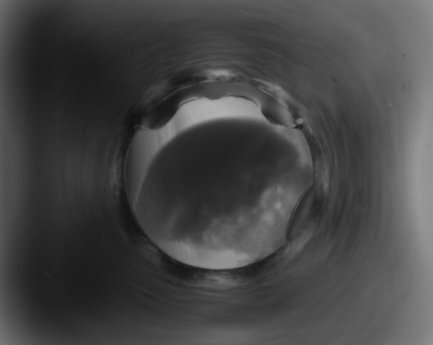 X0000087540475200705181052