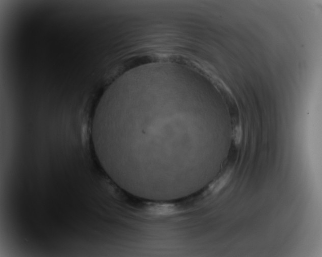 X0000087540476200705181052