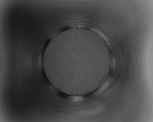 X0000087540477200705181052