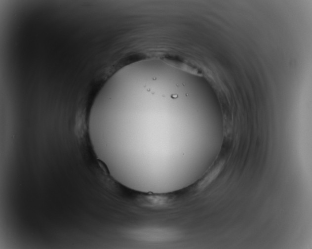 X0000087540478200705181052