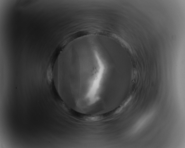 X0000087540479200705181052