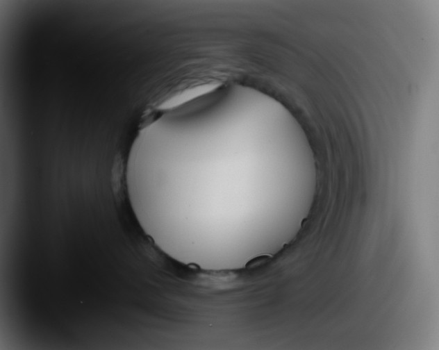 X0000087540480200705181052