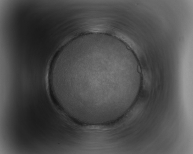 X0000087540482200705181051