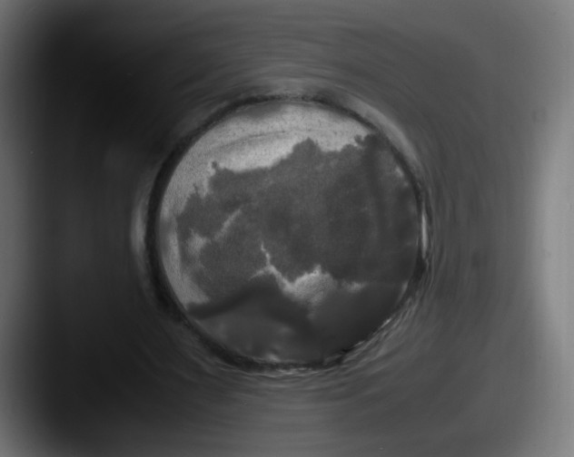 X0000087540483200705181051