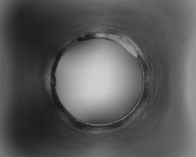 X0000087540485200705181051