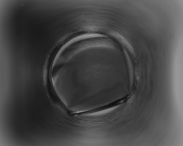 X0000087540488200705181051