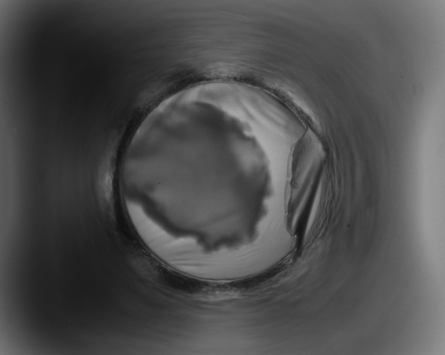 X0000087540491200705181051