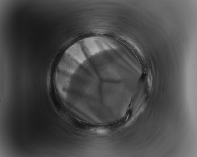 X0000087540492200705181051