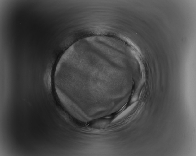 X0000087540493200705181051