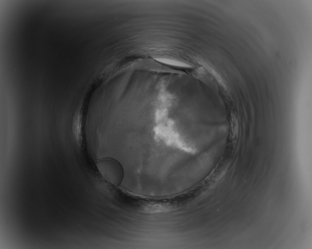 X0000087540494200705181051