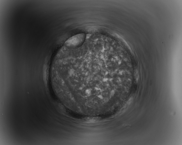 X0000087540495200705181051