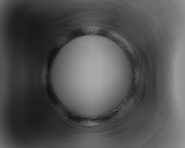 X0000087540498200705181051