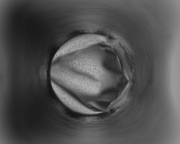 X0000087540501200705181051