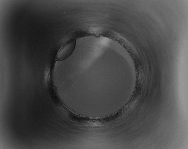 X0000087540502200705181051