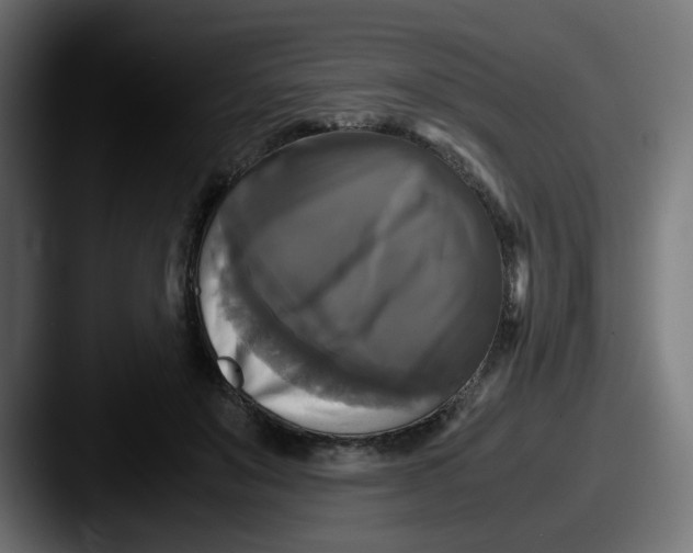 X0000087540503200705181051