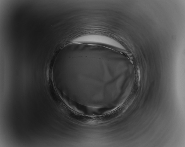 X0000087540504200705181051