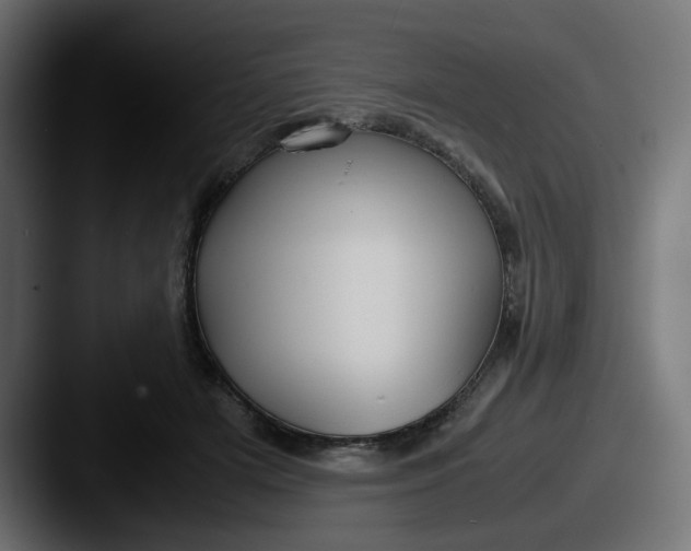 X0000087540505200705181051