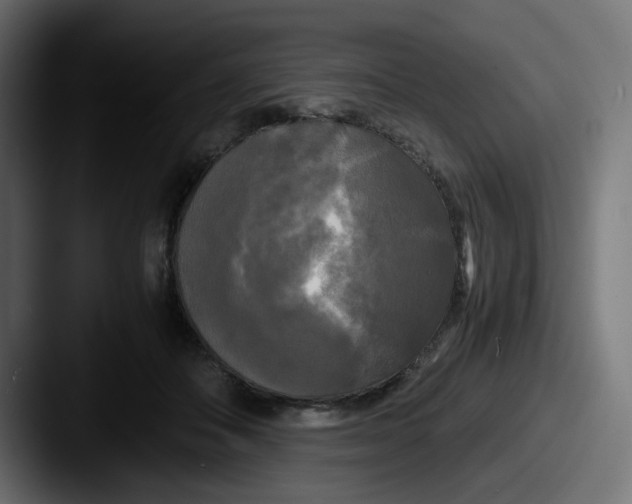 X0000087540506200705181051