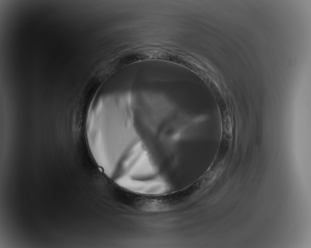 X0000087540507200705181051