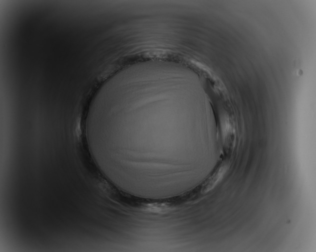 X0000087540508200705181051