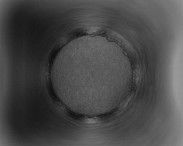 X0000087540510200705181051