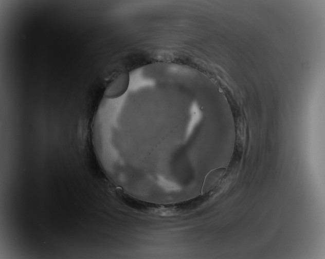 X0000087540511200705181051