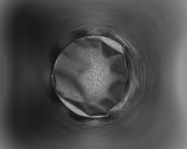 X0000087540513200705181051