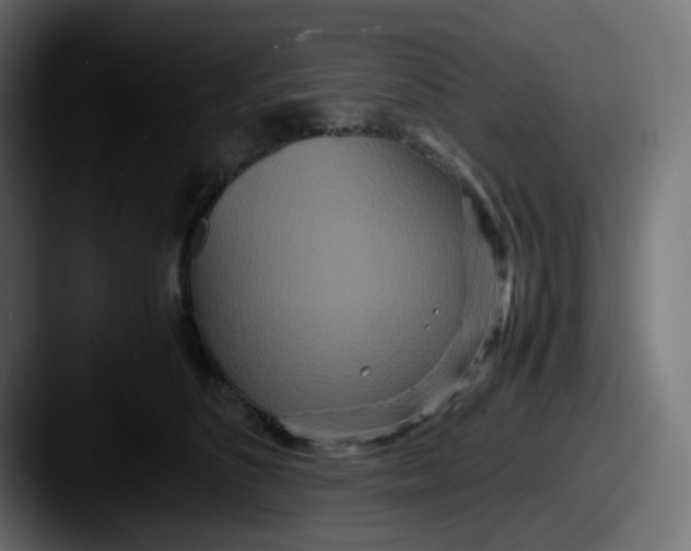 X0000087540516200705181051