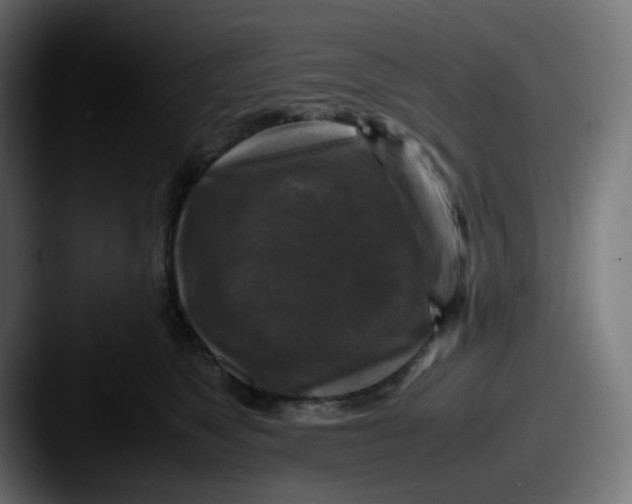 X0000087540517200705181051