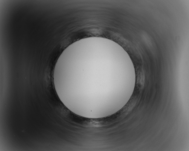 X0000087540518200705181051