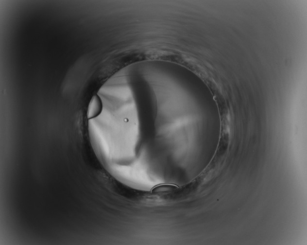 X0000087540519200705181051