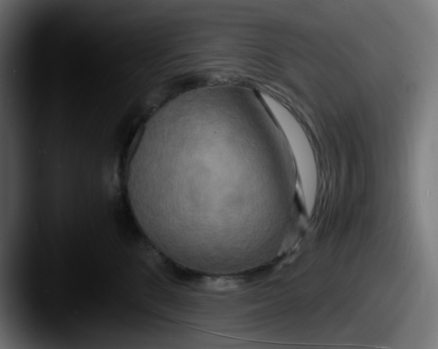 X0000087540520200705181051