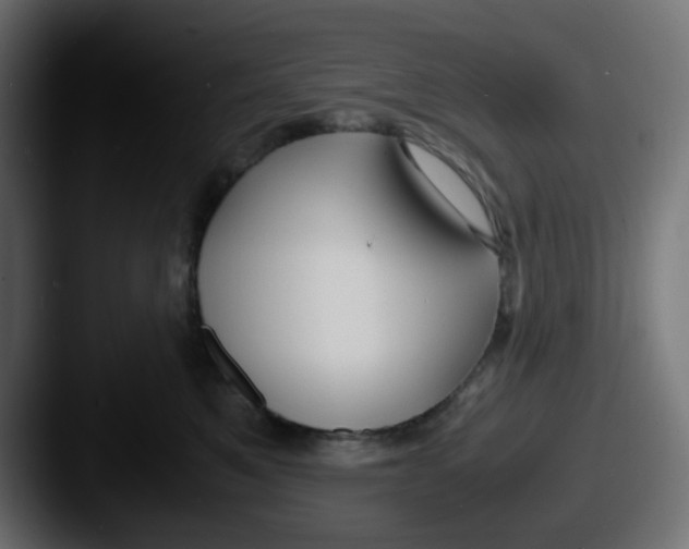 X0000087540521200705181051