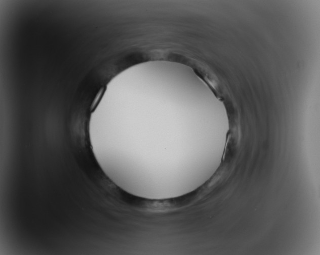 X0000087540525200705181051