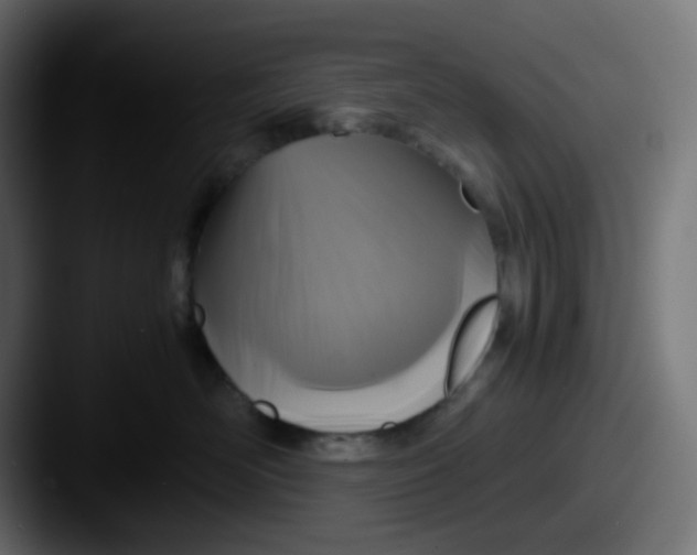 X0000087540526200705181051