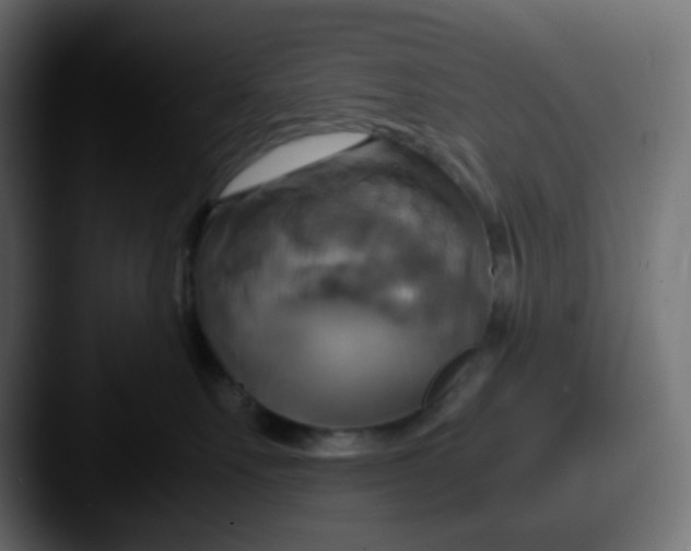 X0000087540527200705181051