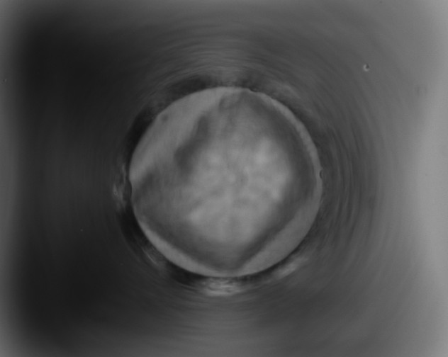 X0000087540528200705181051