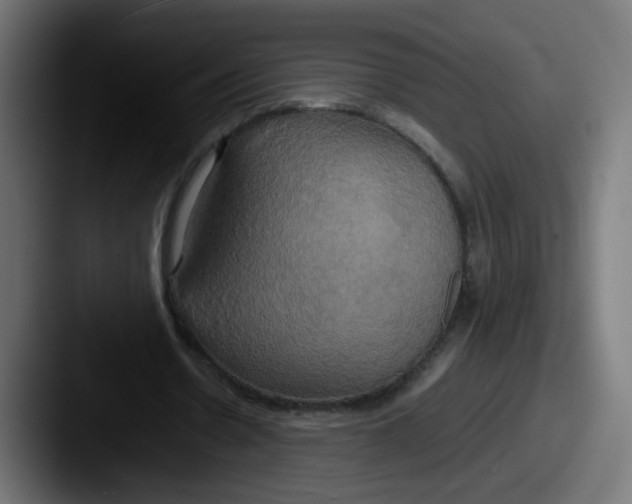 X0000087540530200705181050