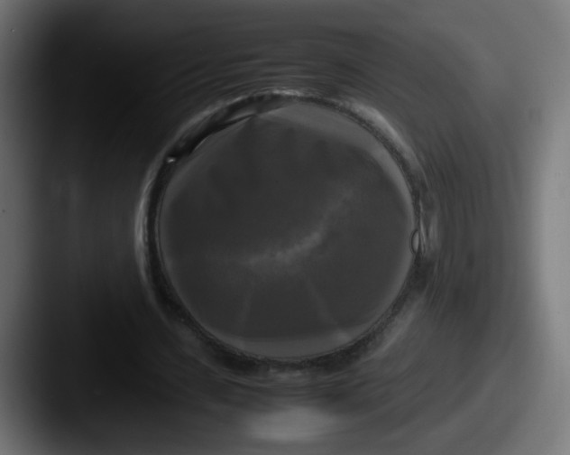 X0000087540531200705181050