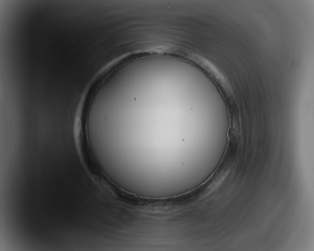 X0000087540532200705181050