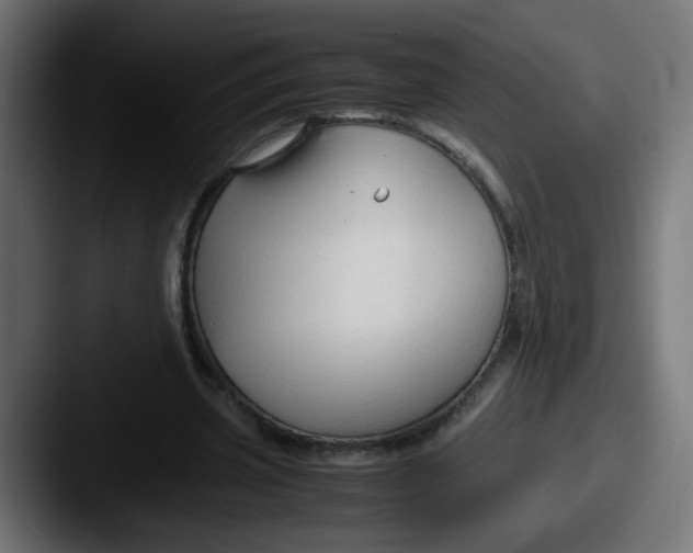 X0000087540533200705181050