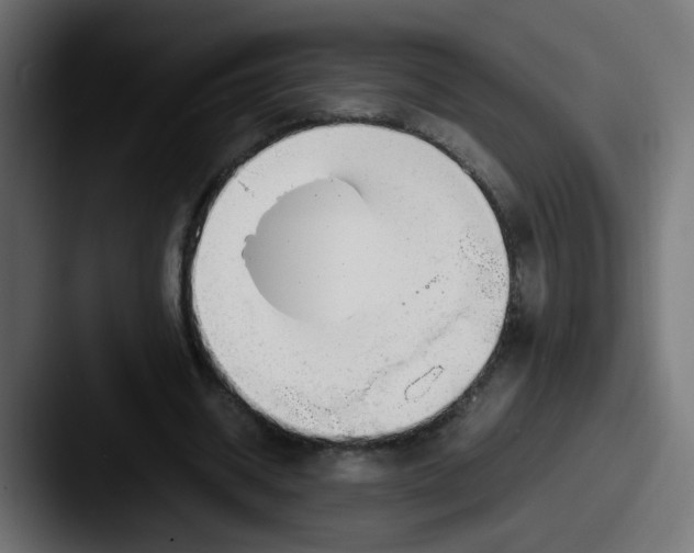 X0000087540534200705181050