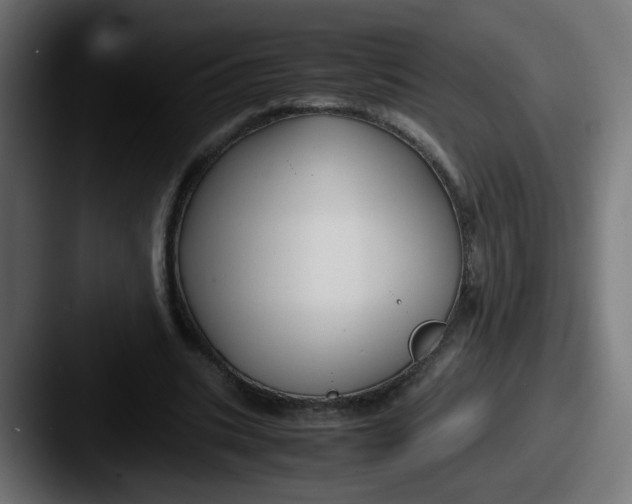 X0000087540535200705181050