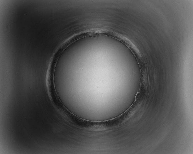 X0000087540536200705181050