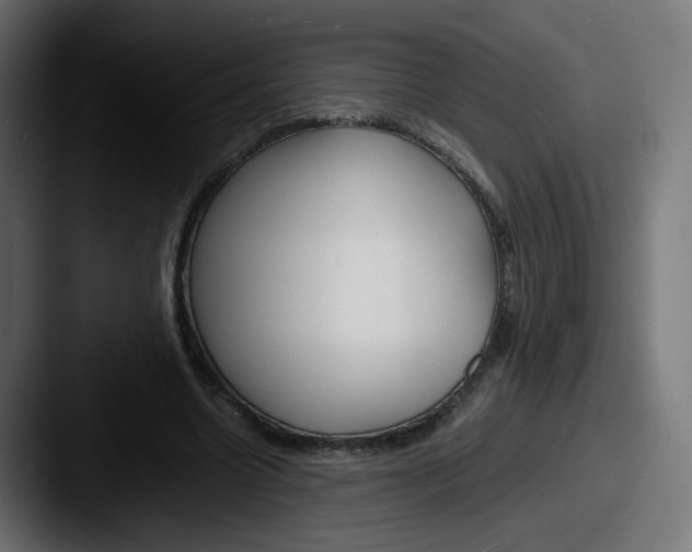 X0000087540538200705181050