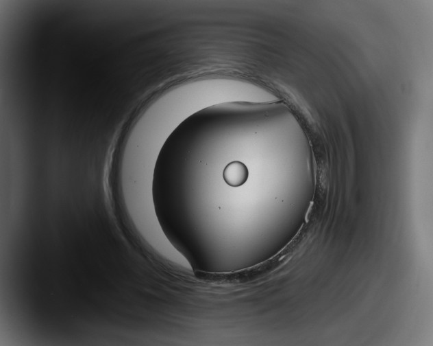 X0000087540540200705181050