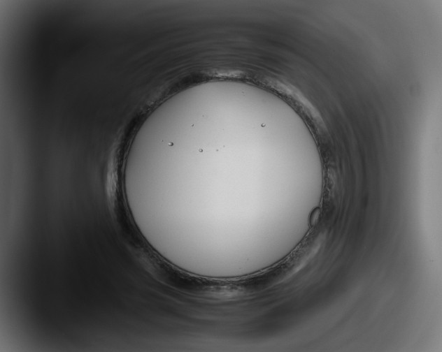 X0000087540541200705181050